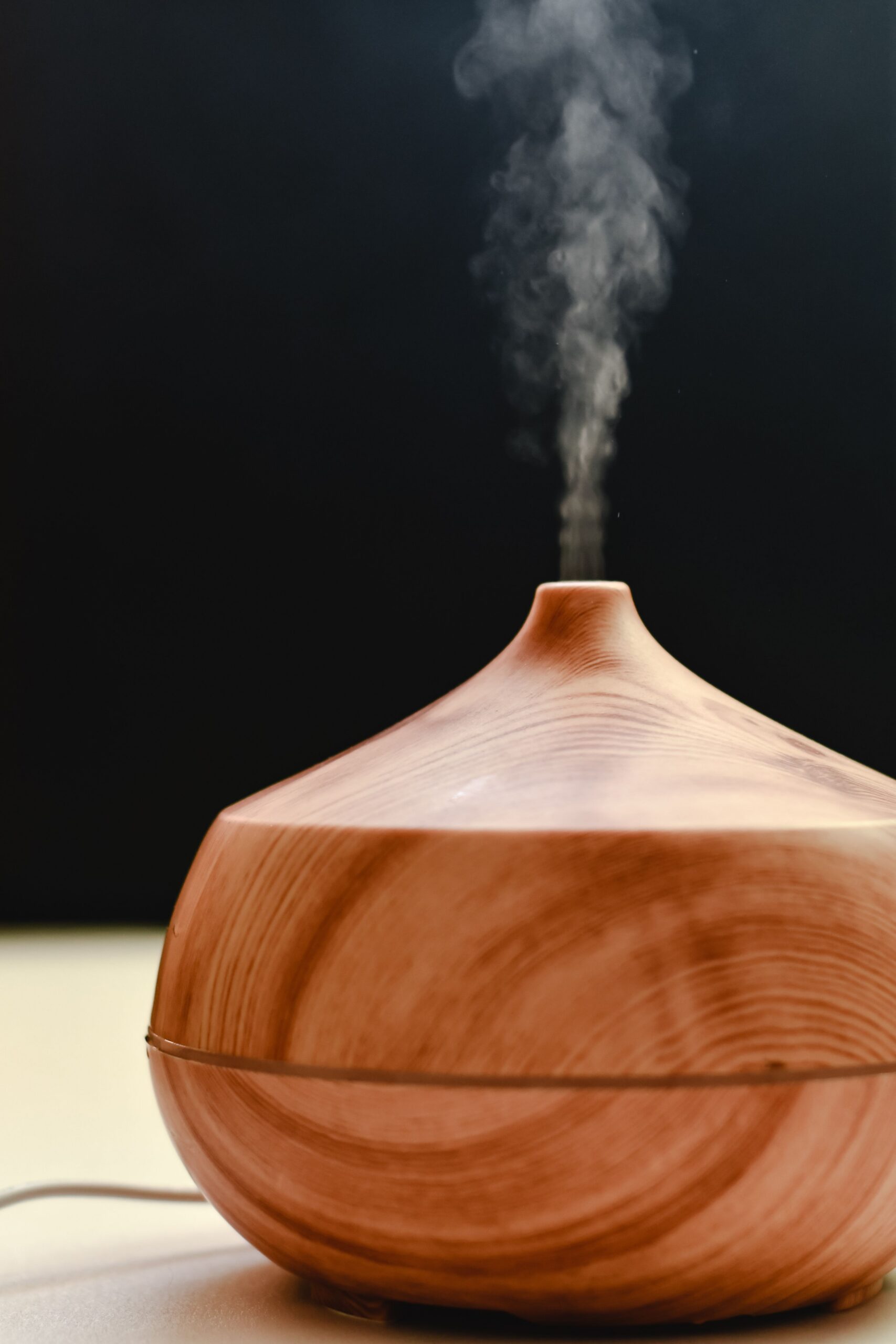 whole-house air purifier vs dehumidifier
